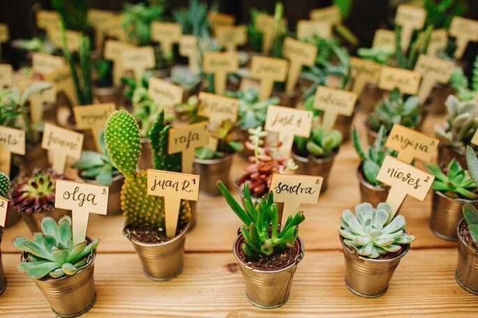 10 ideas originales de plantas para recuerdo de boda que encantarán a tus invitados