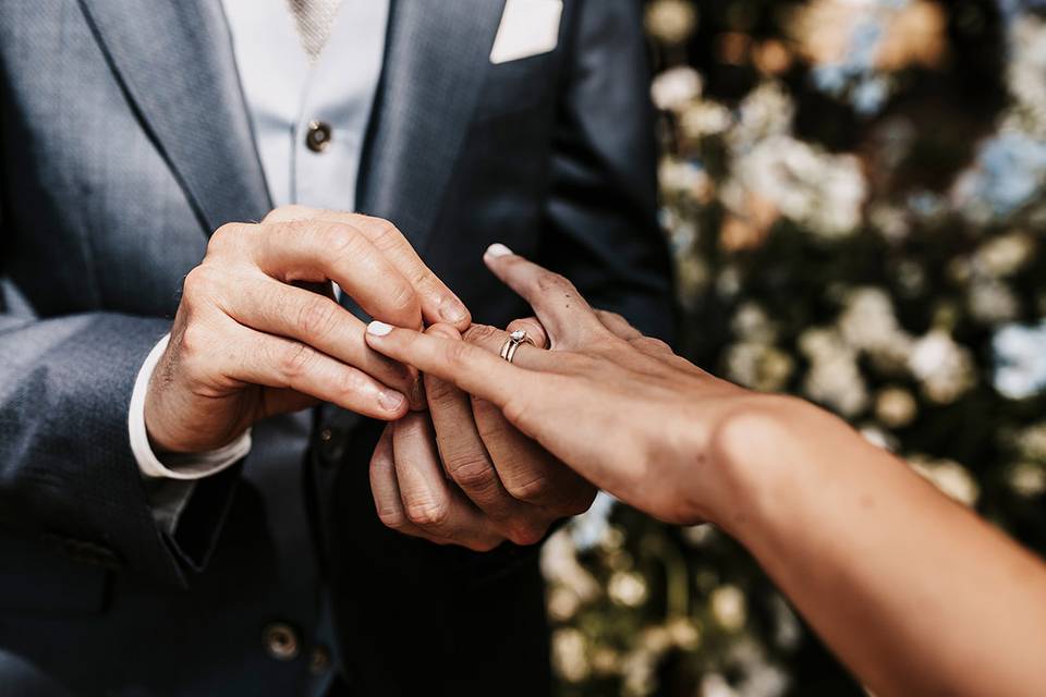 El catálogo definitivo de alianzas de boda: encuentra el anillo perfecto para sellar tu amor