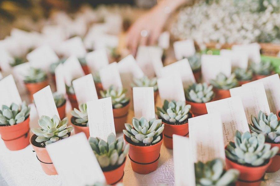 Mini plantas: el regalo perfecto para bodas llenas de vida