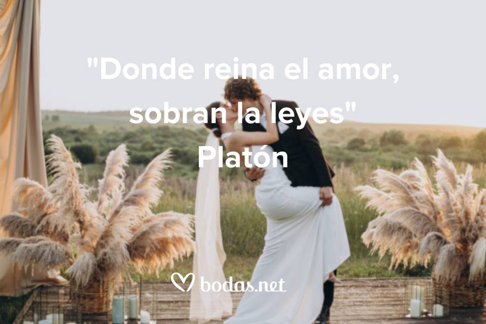 Textos románticos: Inspiración para expresar tus sentimientos en tu boda